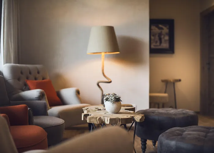 酒店 雪绒花维塔尔spa酒店 施图拜河谷新施蒂夫特