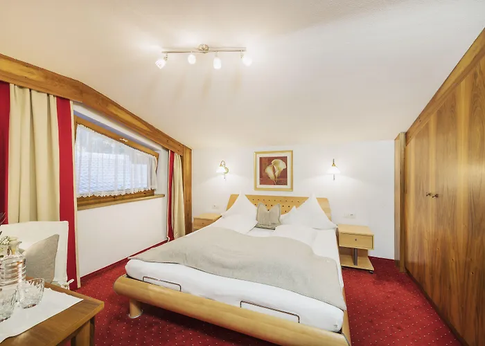 雪绒花维塔尔spa酒店 施图拜河谷新施蒂夫特