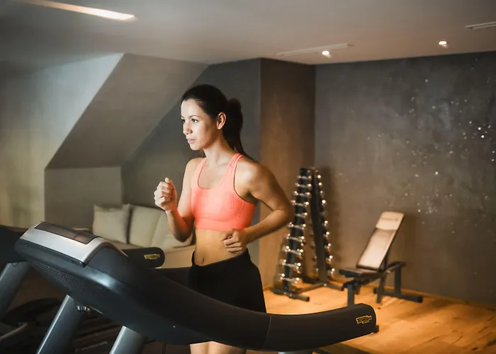 雪绒花维塔尔spa酒店 4*