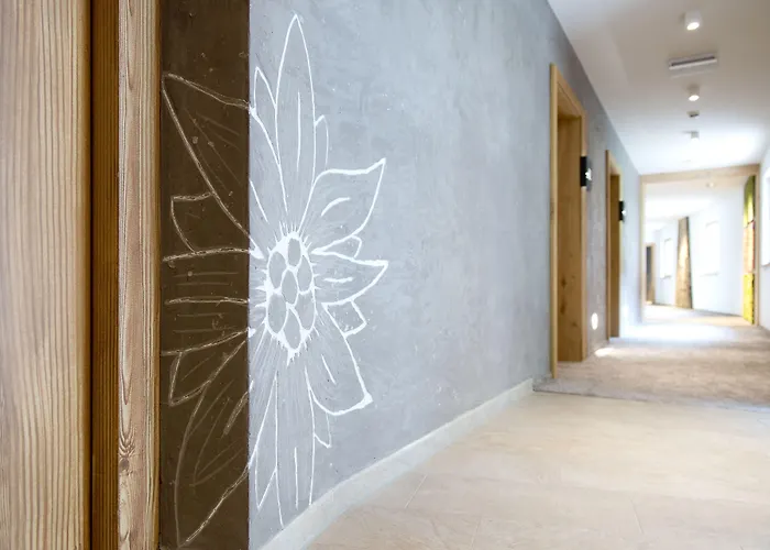 酒店 雪绒花维塔尔spa酒店 4*