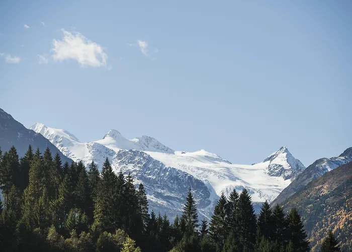 雪绒花维塔尔spa酒店 酒店 4*